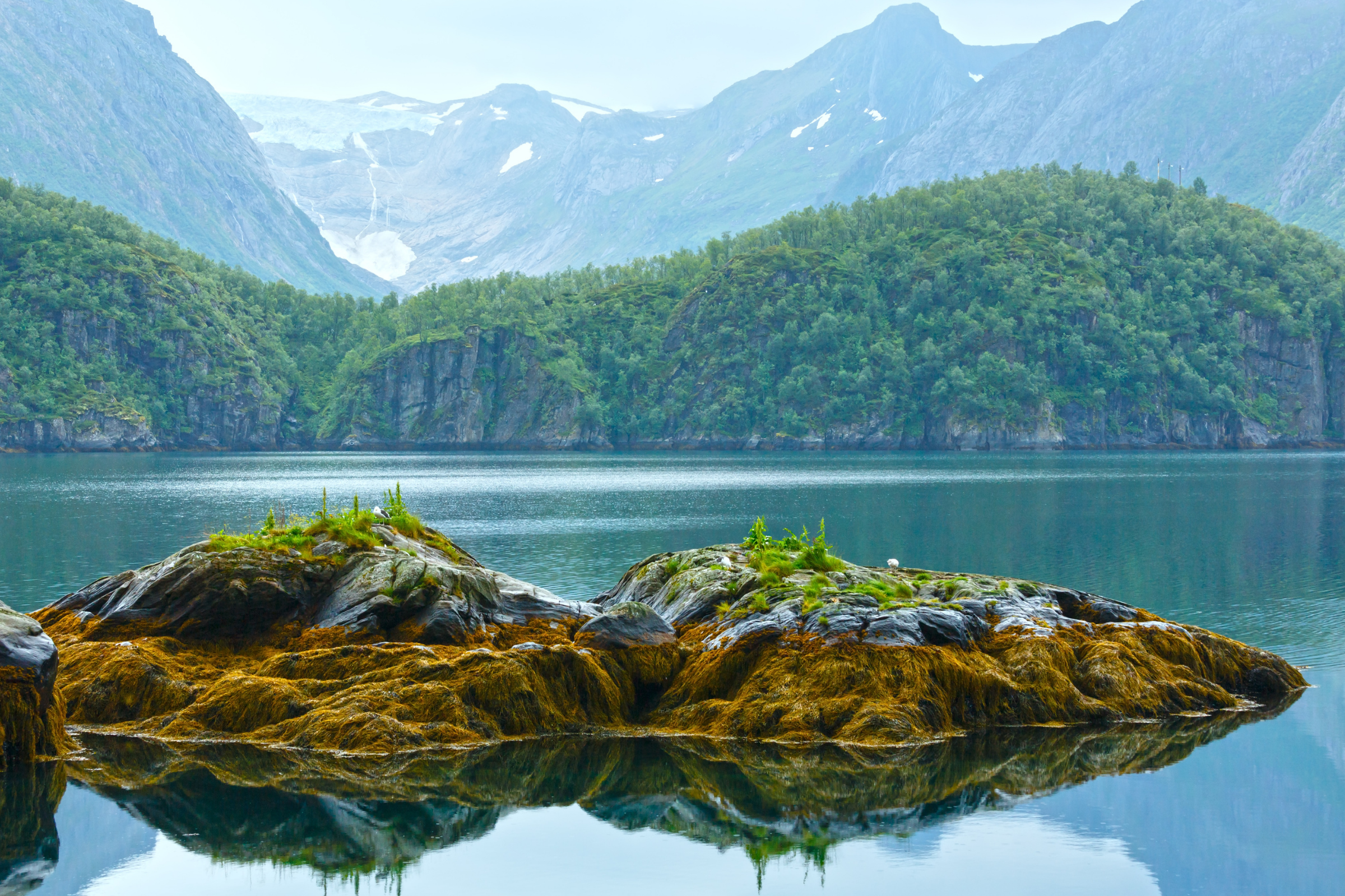 196 svartisen glacier.webp